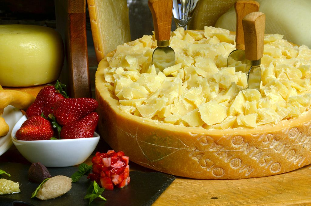 Forma formaggio Montasio
