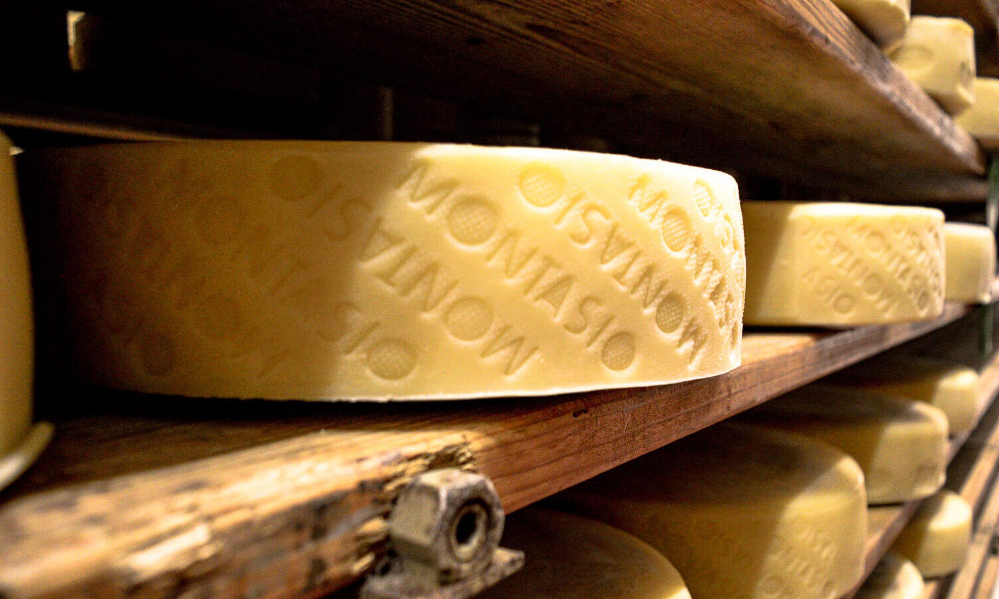 Forme di Montasio
