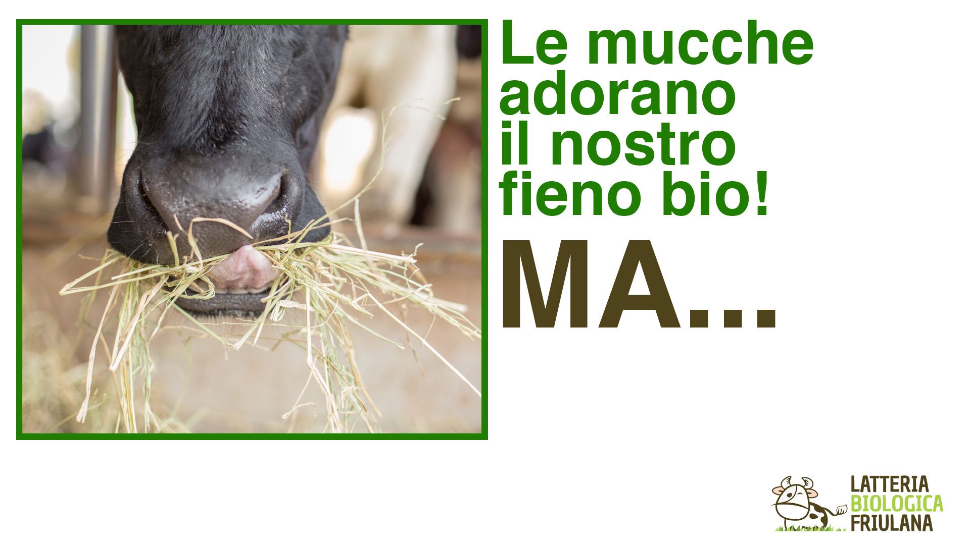 Immagine copertina Biomassa con mucca