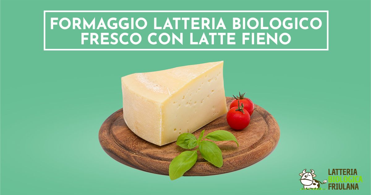 formaggio latteria latte fieno biologico