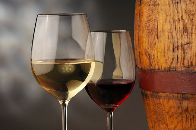vini bio friulani