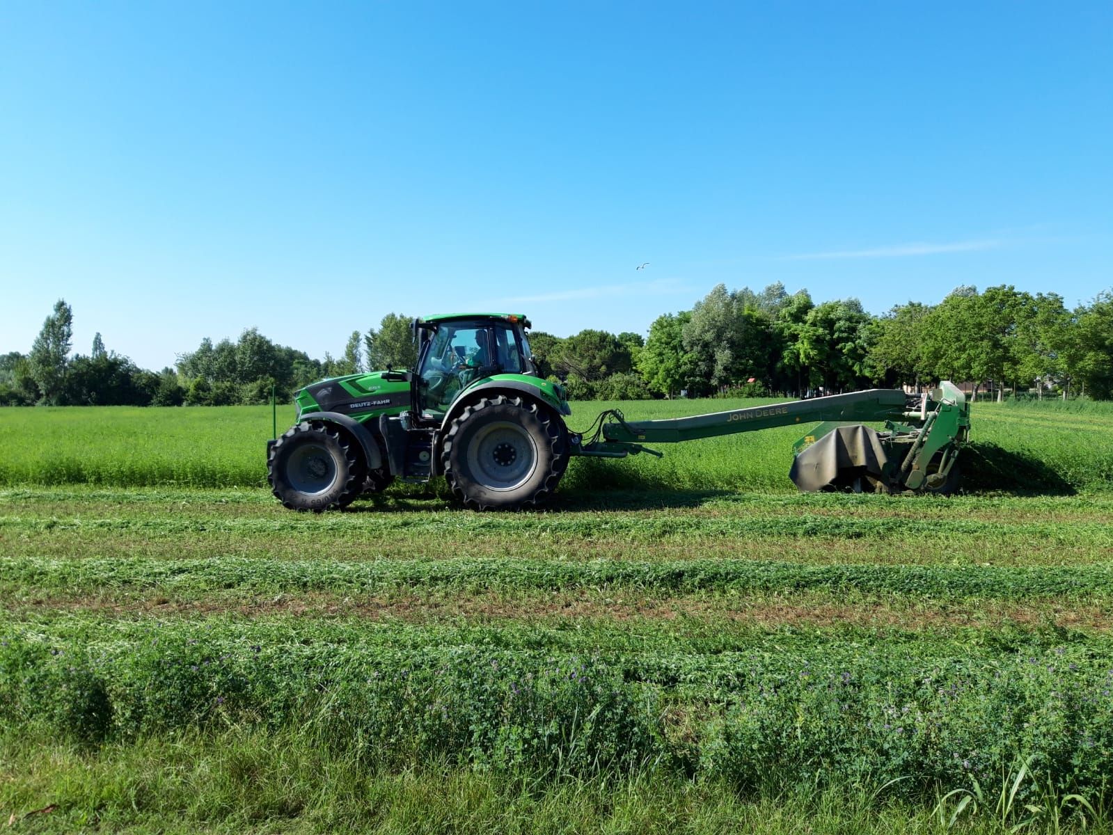 Azienda agricola