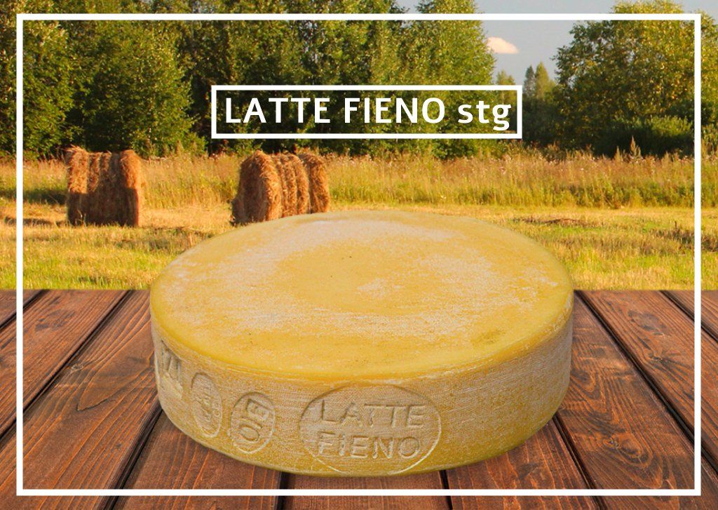 Latte Fieno stg