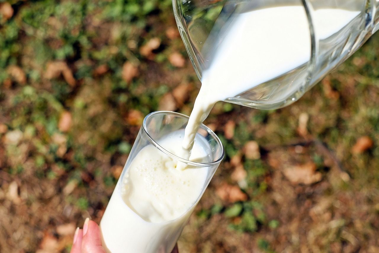 latte vaccino
