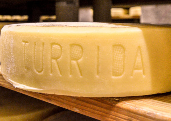 formaggio latteria di turrida