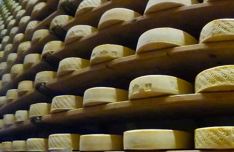 Formaggi