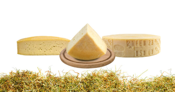 Tris di Montasio dop bio con latte fieno + Omaggio