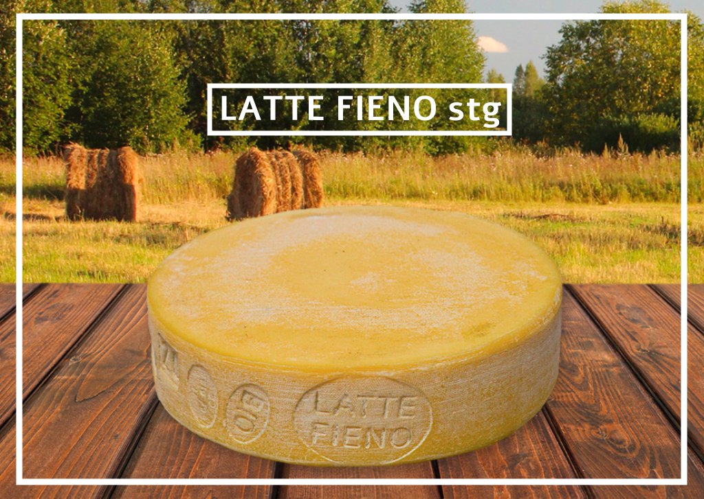 Latte Fieno stg